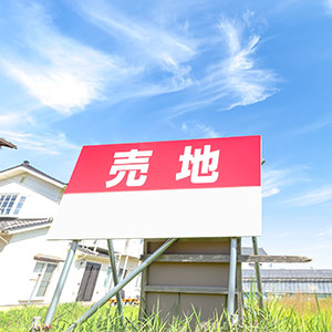 土地